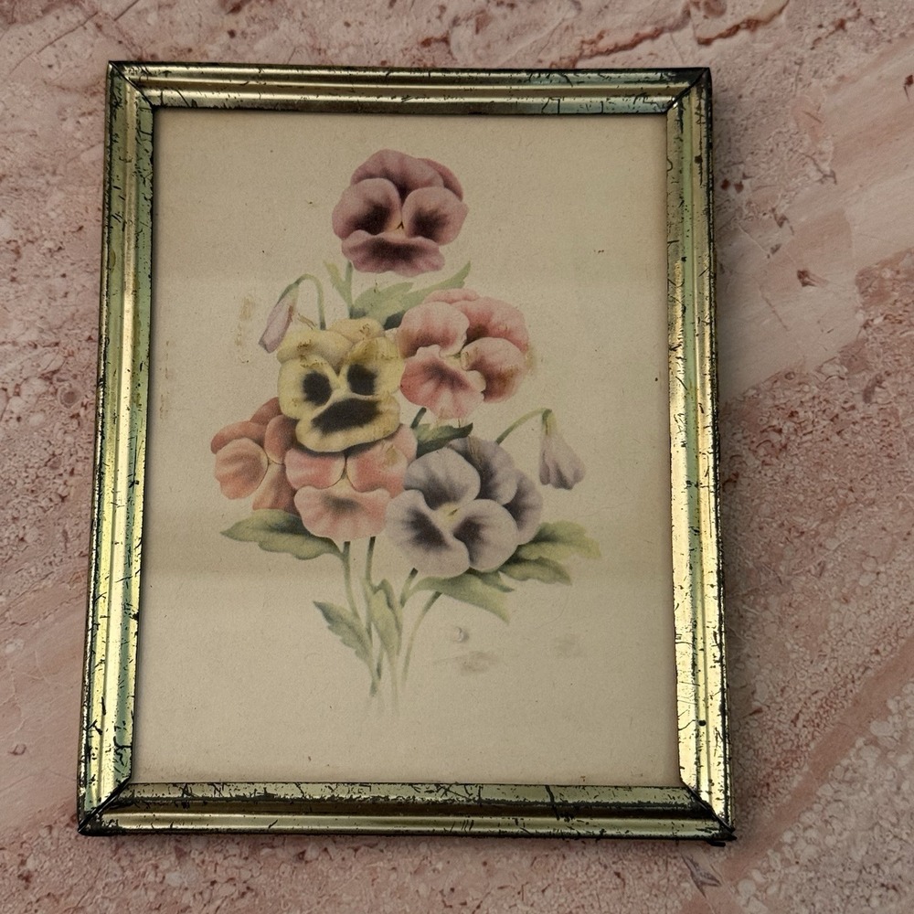 Vintage Mid Century Pansy Floral Bouquet Print Gallery Wall Art Metal Frame 5x4